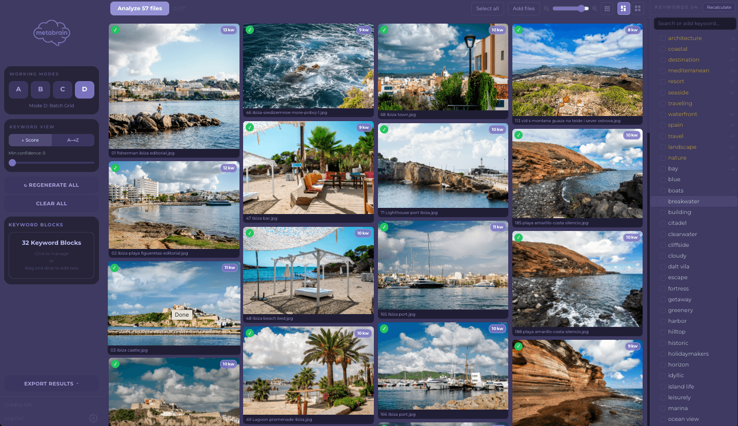 Mode D — Batch Grid interface